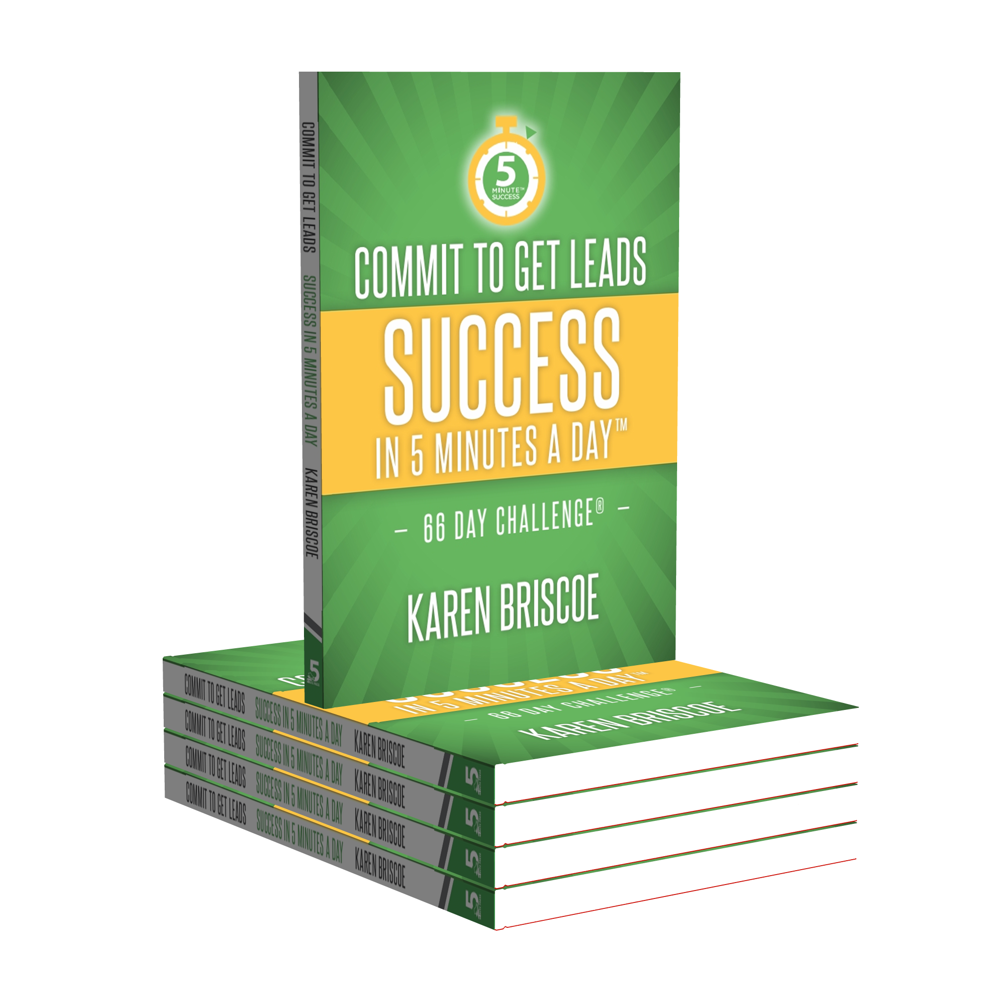 The Books - 5 Minute Success