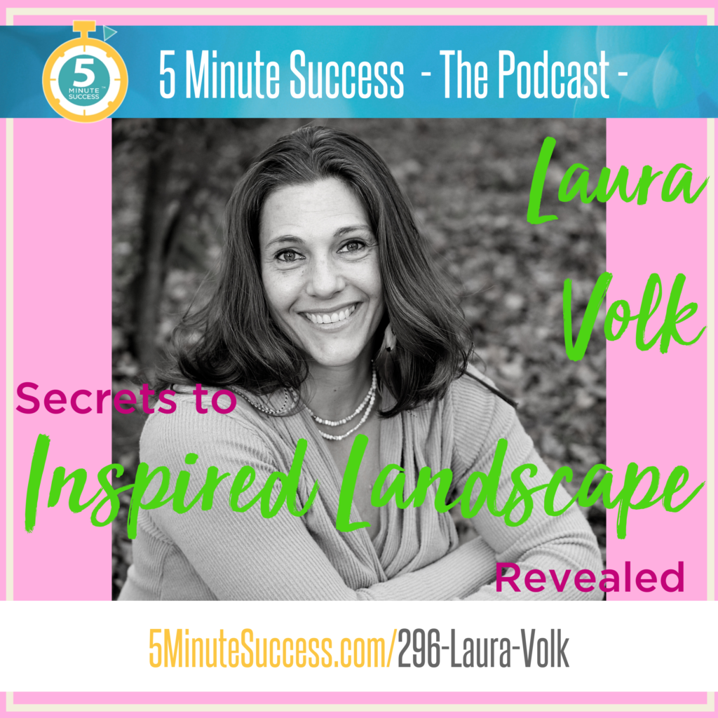 laura volk 5 minute success